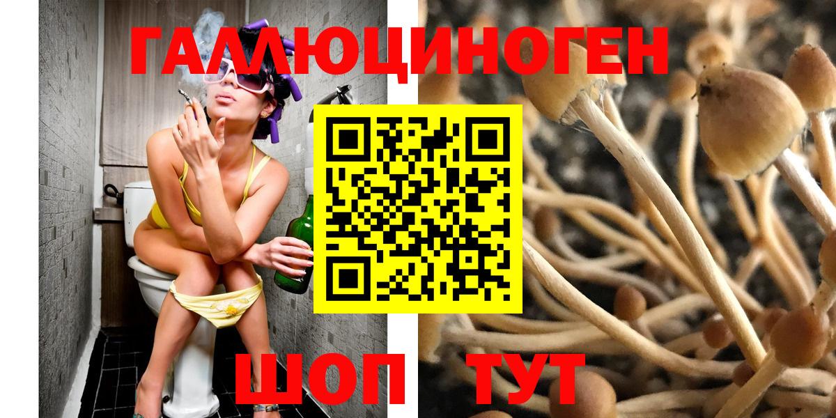 Псилоцибиновые грибы MAGIC MUSHROOMS Маркс