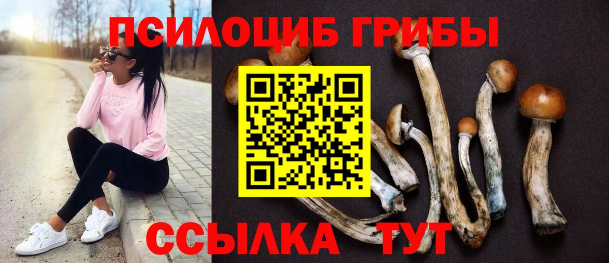 Маркс  Галлюциногенные грибы Magic Shrooms  Вход с VPN 